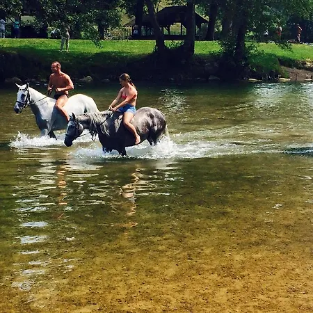 Guest house Koren Zuzemberk