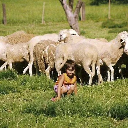 Guest house Koren Zuzemberk