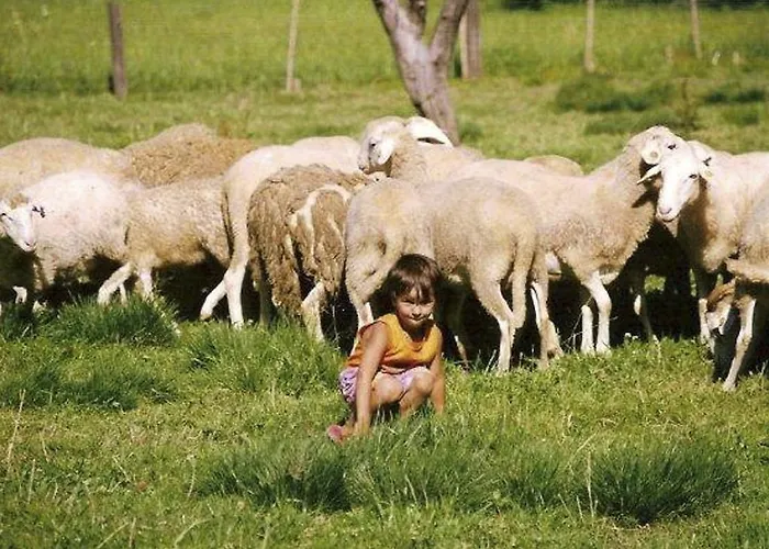Konukevi Koren Zuzemberk
